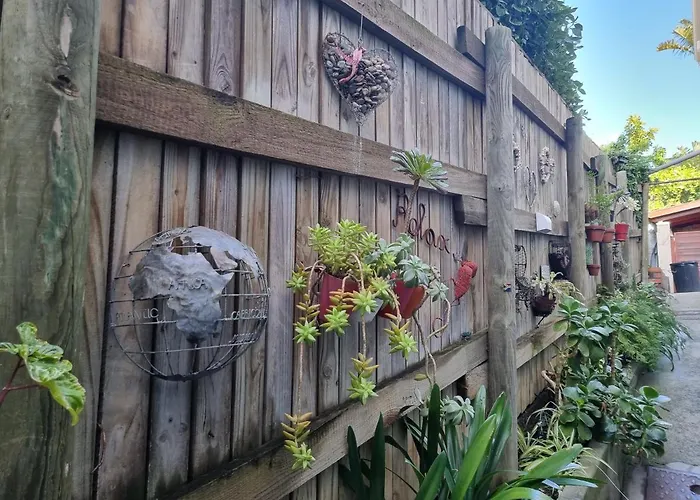 Studio Bay View